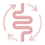 Gut & Digestive Health